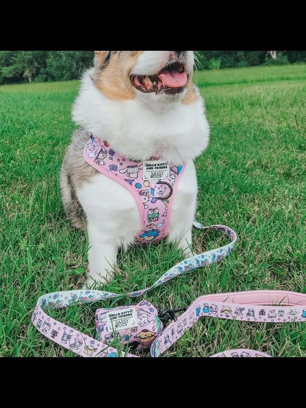 Sassy Woof Hello Kitty Harness